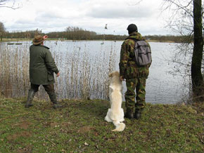 Artemis Jachttrainingen cursus jachthond dummy gooien