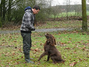 Artemis Jachttrainingen cursus jachthond dummy apport zwemmen