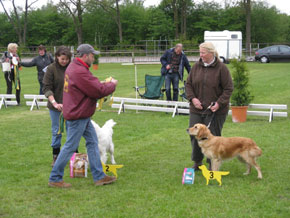 Artemis jachttrainingen honden cursus over artemis